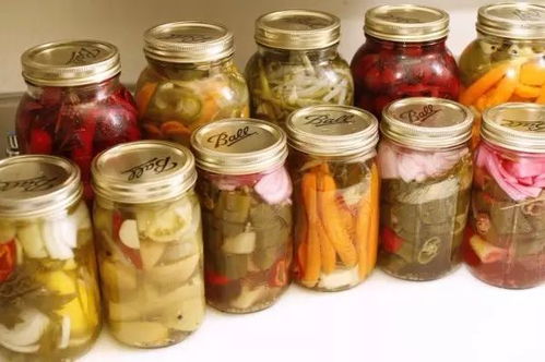 垃圾食品會偷走我們的記憶 這是真的