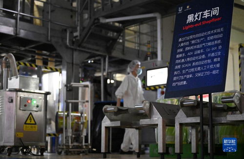 新華全媒 丨 舌尖上 的智能制造 探訪全球首家調味品 燈塔工廠