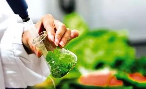 9月8日,大眾網記者從山東省市場監督管理局了解到,為進一步保障食品安全,省市場監管局對餐飲食品、淀粉及淀粉制品、豆制品、糕點、酒類、糧食加工品、肉制品、乳制品、食用農產品、蔬菜制品、水果制品、速凍食品、特殊醫學用途配方食品、調味品和飲料共15大類食品53?