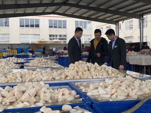 從 山間 到 舌尖 農行福建龍巖分行支持農業特色產業側記